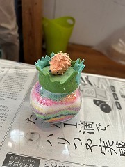 B971DE9E-7CD0-48AE-8B9A-5EA17ADF8389.jpg