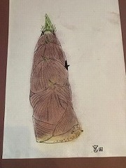 IMG_2579.jpg