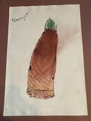 IMG_2580.jpg