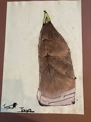 IMG_2582.jpg