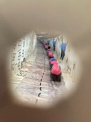 IMG_3304.jpg