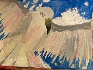 IMG_3692.jpg