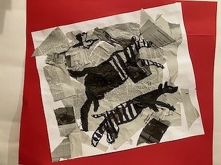 IMG_5339.jpg