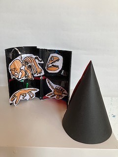 IMG_5400.jpg