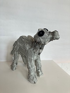 IMG_5405.jpg