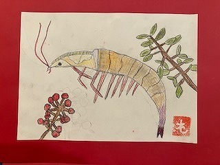 IMG_5828.jpg