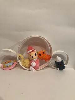 IMG_5833.jpg