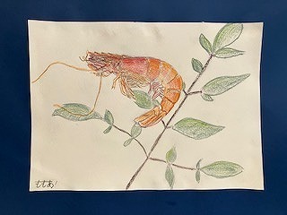 IMG_5843.jpg