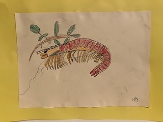 IMG_5844.jpg