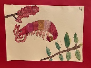 IMG_5845.jpg