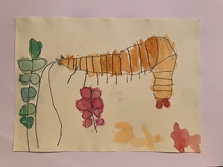 IMG_5981.jpg
