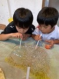 IMG_8605.jpg