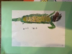 IMG_8843.jpg