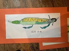 IMG_8846.jpg