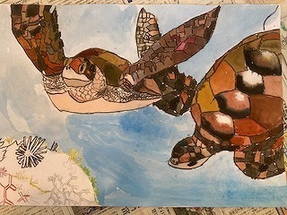 IMG_8973.jpg