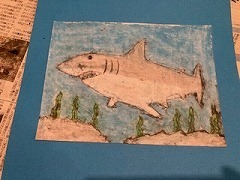 IMG_9570.jpg